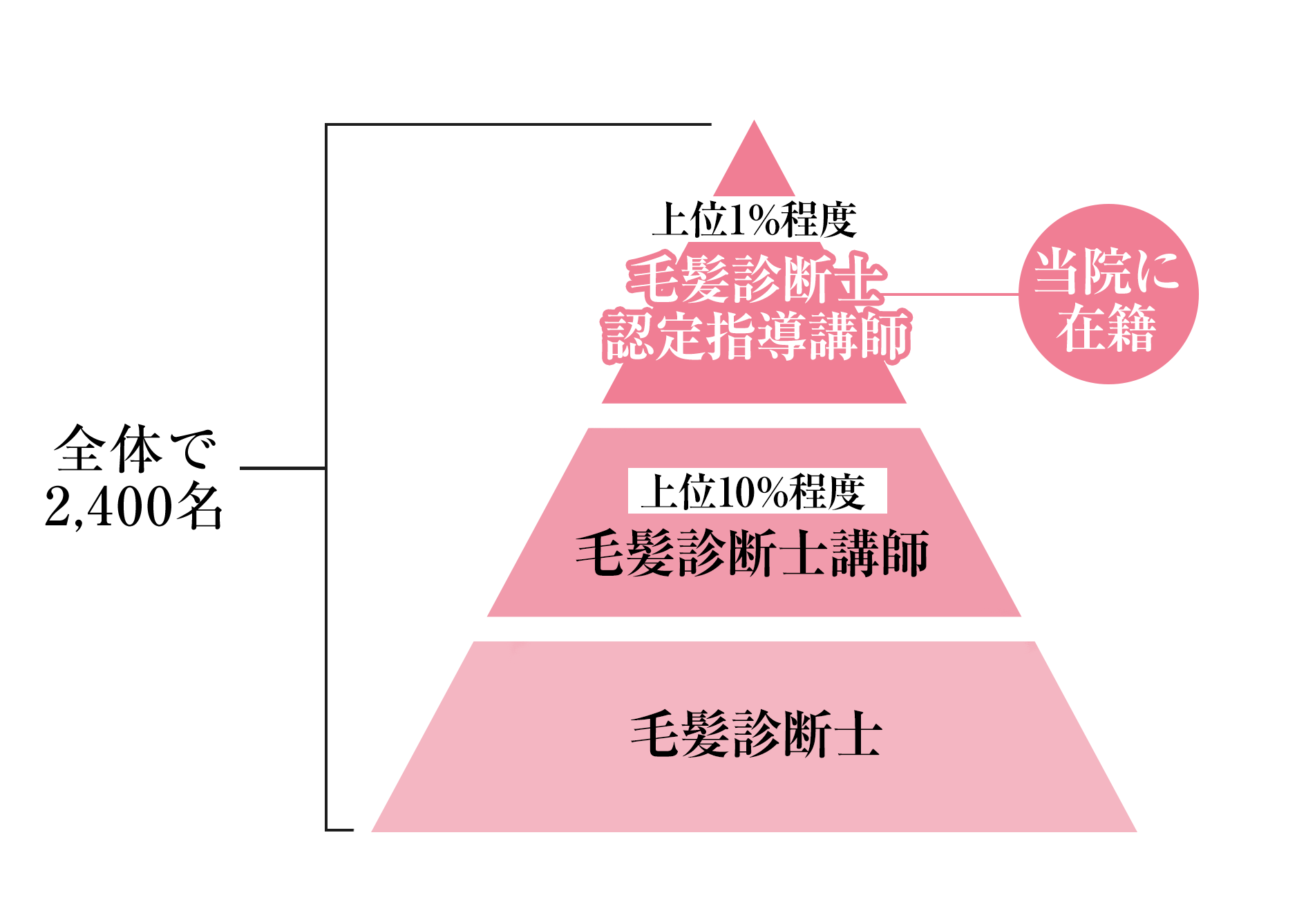 薄毛治療が選ばれる理由